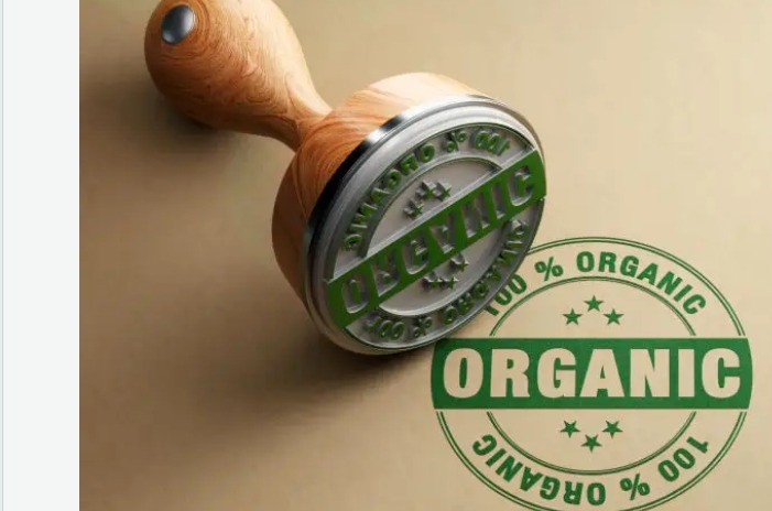 Export Market Trends